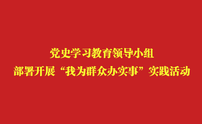 黨史學(xué)習(xí)教育領(lǐng)導(dǎo)小組部署開展“我為群眾辦實事”實踐活動